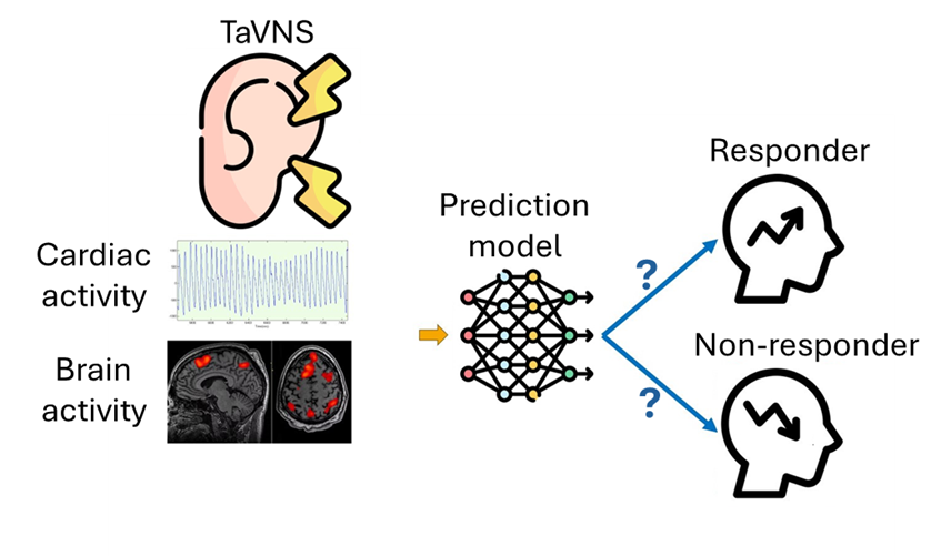 fmri